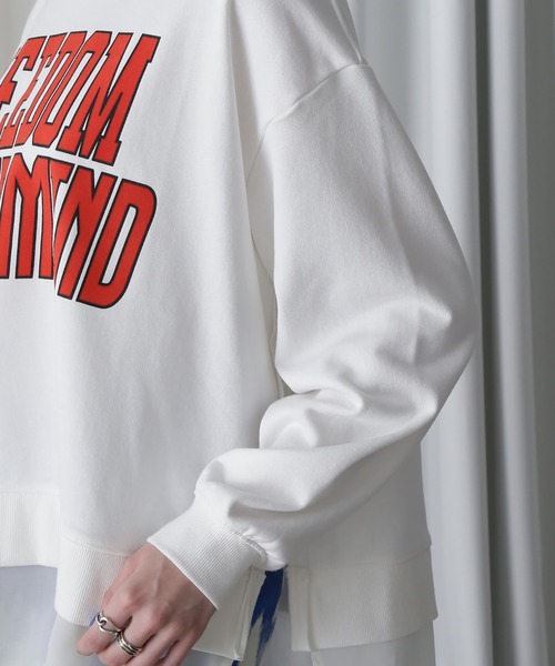 ROSE BUD(ローズバッド)の「(OKIRAKU×ROSEBUD)FROCKY PRINT DOCKING HEM SWEAT(スウェット・レディース・グレー/ホワイト・ONE SIZE)」の3枚目の写真