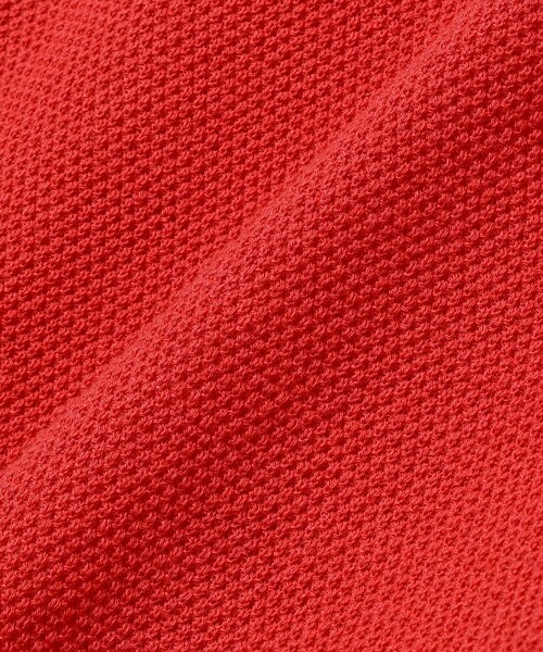 BEAMS PLUS(ビームスプラス)の「Pique Polo 14G(ポロシャツ・メンズ・オリーブ/レッド/ネイビー/イエロー・X-LARGE/LARGE/MEDIUM/SMALL)」の19枚目の写真