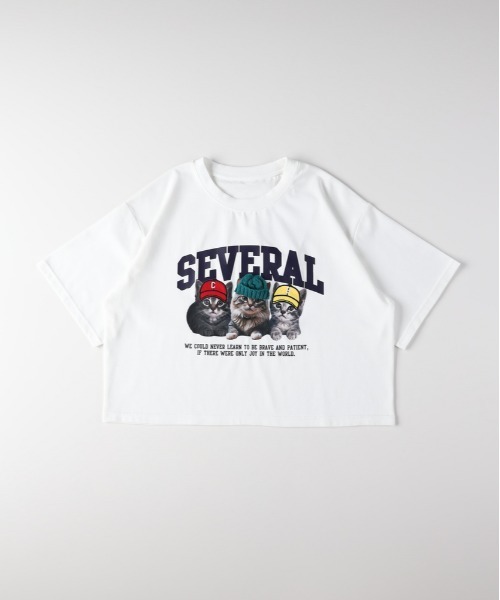 Right-on（ライトオン）の「HONEYSUCKLE ROSE(ハニーサックルローズ)ネコプリントショートTシャツ（Tシャツ/カットソー・レディース・ホワイト/ダークグレー/ライトピンク・L/M）」の11枚目の写真