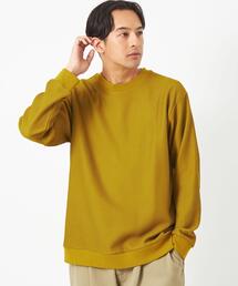 green label relaxing | クリアラッセル クルーネック 長袖 カットソー(Tシャツ/カットソー)