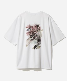 HARE | バックコラージュポンチカットソー(HARE)(Tシャツ/カットソー)