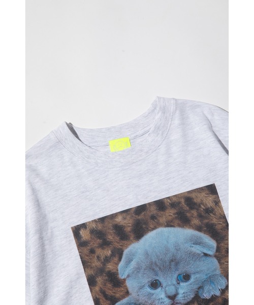 CAT POWER SS TEE（Tシャツ/カットソー）｜WCJ（ダブルシー