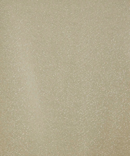 fifth（フィフス）の「ラメデザイン衿付プルオーバー（Tシャツ/カットソー・レディース・アイボリー/ブラック・M）」の9枚目の写真