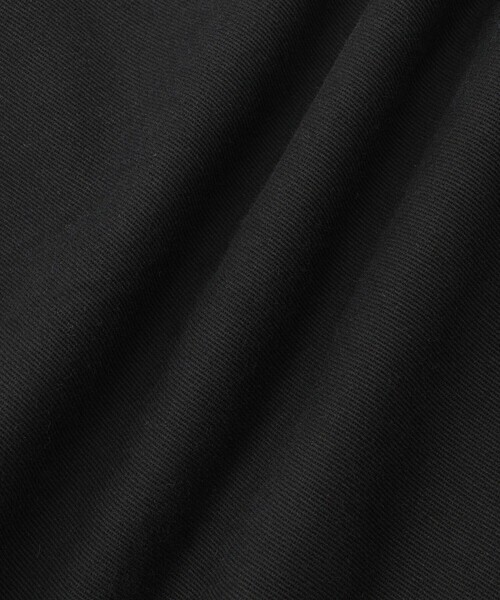 Saturdays NYC（サタデーズ ニューヨークシティ ）の「Saturdays NYC x Dickies Short Pants（その他パンツ・メンズ・ブルー/グレー/ブラック・28/30/32/34/36）」の18枚目の写真