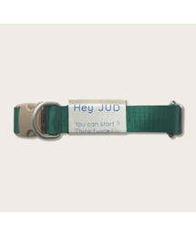 HEYJUD（ヘイジュード）の「JUDカラー ジュード首輪 (ソウルグリーン)（リード/ハーネス/首輪）」