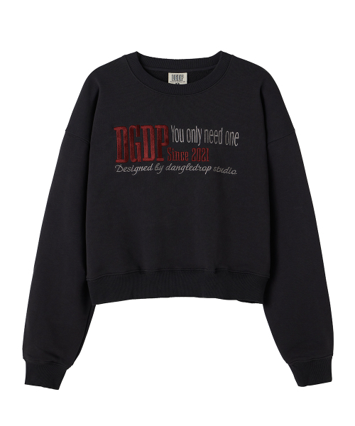 DANGLEDROP(ダングルドロップ)の「DGDP YOU NEED刺繍クロップマンツーマンチャコール(スウェット・レディース・その他・S/M)」の1枚目の写真