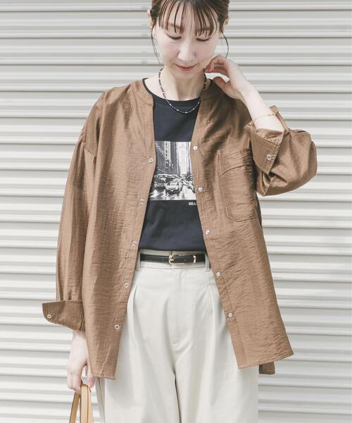 ITEMS URBANRESEARCH（アイテムズ アーバンリサーチ）の「ドットボタンシアーシャツ（シャツ/ブラウス・レディース・ミント/ライトベージュ/ブラウン・FREE）」の2枚目の写真