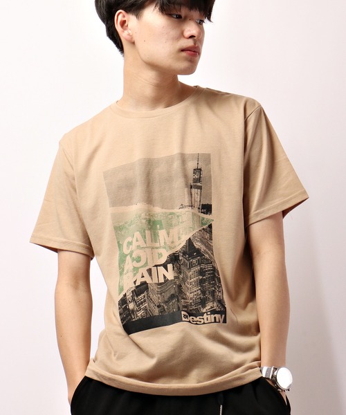 FUNALIVE(ファンアライブ)の「とろみ吸水速乾 転写フォトプリントTシャツ COOL&DRY(Tシャツ/カットソー・メンズ・ホワイト/ベージュ/ネイビー/グレー/レッド/ピンク/ブルー/グリーン/ホワイト系その他/ベージュ系その他/ホワイト系その他2/ブラック・LL/M/L)」の7枚目の写真