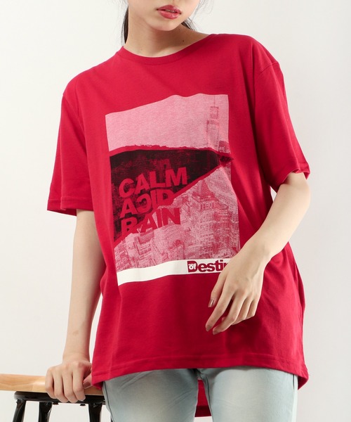 FUNALIVE(ファンアライブ)の「とろみ吸水速乾 転写フォトプリントTシャツ COOL&DRY(Tシャツ/カットソー・メンズ・ホワイト/ベージュ/ネイビー/グレー/レッド/ピンク/ブルー/グリーン/ホワイト系その他/ベージュ系その他/ホワイト系その他2/ブラック・LL/M/L)」の12枚目の写真