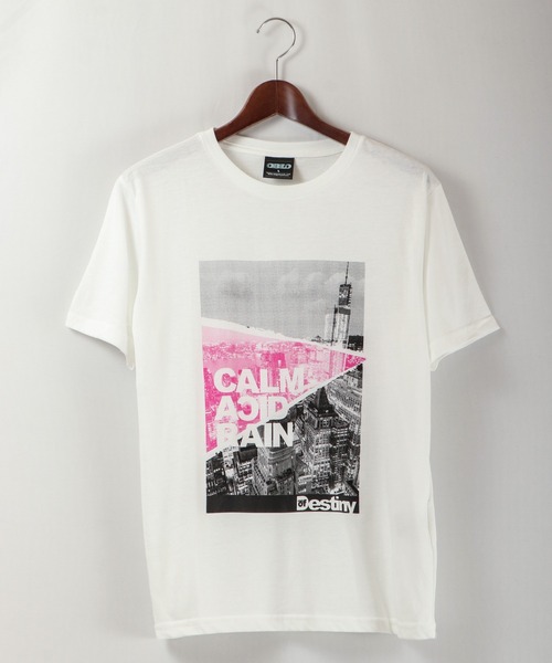 FUNALIVE(ファンアライブ)の「とろみ吸水速乾 転写フォトプリントTシャツ COOL&DRY(Tシャツ/カットソー・メンズ・ホワイト/ベージュ/ネイビー/グレー/レッド/ピンク/ブルー/グリーン/ホワイト系その他/ベージュ系その他/ホワイト系その他2/ブラック・LL/M/L)」の17枚目の写真