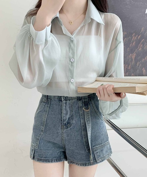 frunco（フランコ）の「シアーシャツ（シャツ/ブラウス・レディース・アイボリー/ブルー/グレー/パープル/ホワイト/ピンク/グリーン・FREE）」の11枚目の写真