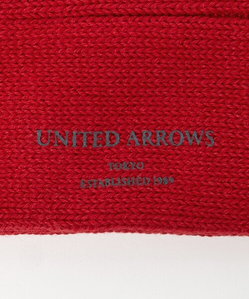UNITED ARROWS（ユナイテッドアローズ）の「ボリューム リブ ソックス（ソックス/靴下・メンズ・ブラック/ベージュ/レッド/オフホワイト・FREE）」の7枚目の写真