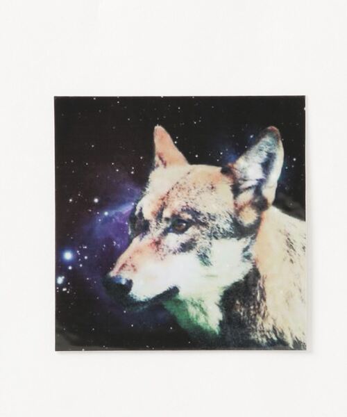 WEGO（ウィゴー）の「WEGO/グラフィックステッカー（ステッカー/テープ・レディース・その他15/その他24/その他16/その他25/その他17/その他26/その他28/その他21/その他14/その他23/その他18/その他27/その他20/その他29/その他11/その他22/その他30/B/C/D/E/A/その他31/その他32/その他33/その他34/その他35・FREE）」の14枚目の写真