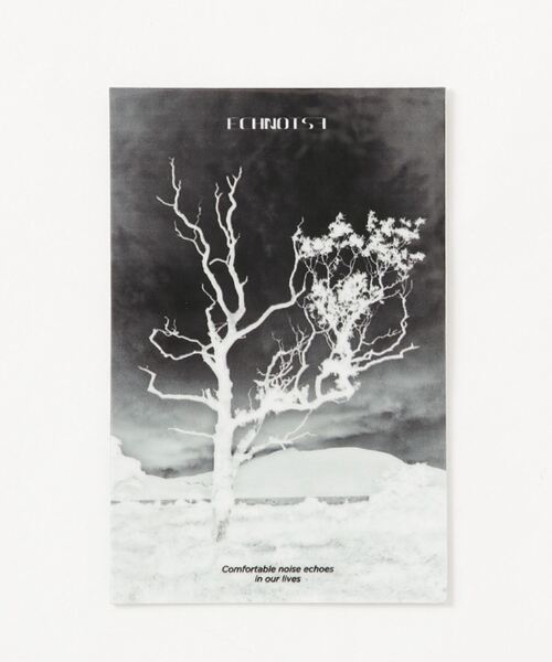 WEGO（ウィゴー）の「WEGO/グラフィックステッカー（ステッカー/テープ・レディース・その他15/その他24/その他16/その他25/その他17/その他26/その他28/その他21/その他14/その他23/その他18/その他27/その他20/その他29/その他11/その他22/その他30/B/C/D/E/A/その他31/その他32/その他33/その他34/その他35・FREE）」の19枚目の写真