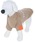 BEAMS DESIGNir[X fUCj́uBEAMS DESIGN/X^_[hVc^TCYiybgEFAjvbx[W