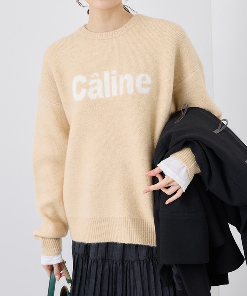 ROPE' PICNIC（ロペピクニック）の「ロゴジャガードニットプルオーバー（ニット/セーター・レディース・ベージュ/グレー/ピンク・38）」の19枚目の写真