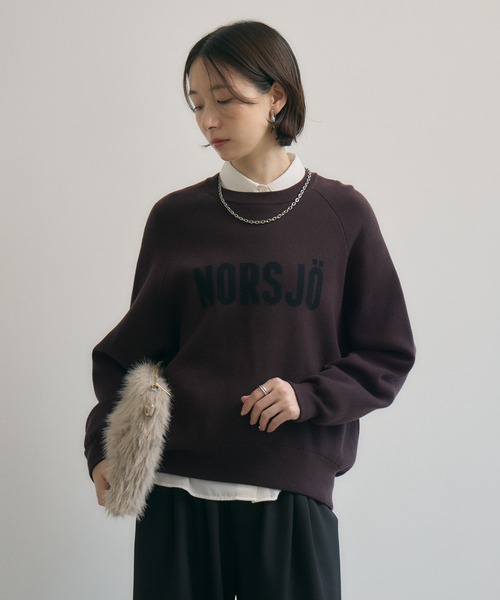 Paradise Picnic（パラダイスピクニック）の「cloche ジャガードロゴニット（ニット/セーター・レディース・グレイッシュベージュ/チャコールグレー/ブラウン・FREE）」の15枚目の写真