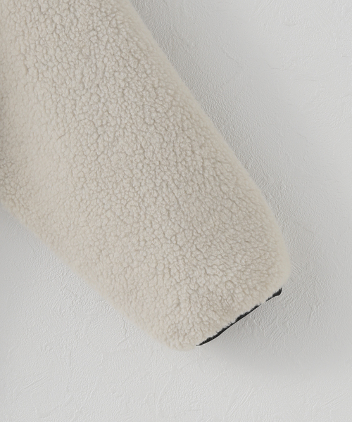 JOURNAL STANDARD（ジャーナルスタンダード）の「《WEB限定》【THE NORTH FACE】 REVERSIBLE EXTREME PILE FLEECE JK（ブルゾン・レディース・ベージュ・MEDIUM）」の9枚目の写真