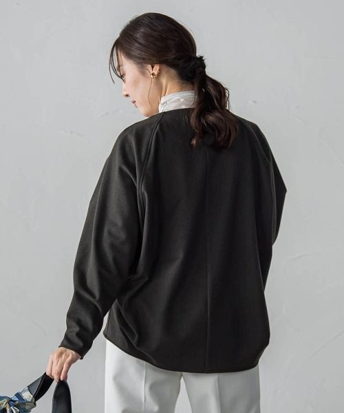 LAUTREAMONT（ロートレアモン）の「両面起毛T/Rブラウス（シャツ/ブラウス・レディース・ベージュ/ネイビー/ブラウン/ダークグレー・9号）」の12枚目の写真