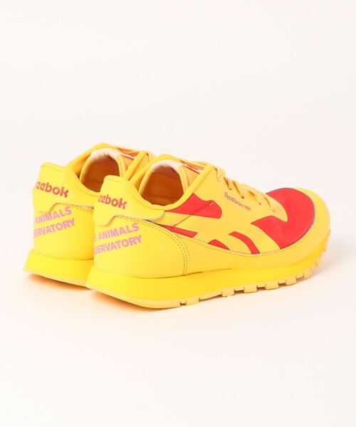 The animals observatory（ジ・アニマルズ・オブザーバトリー）の「The animals observatory / The animals observatory /  Reebok コラボスニーカー＜17-24cm＞（スニーカー・キッズ・ブルー/ブラウン/イエロー・18/24/22/21/20/19/23/17）」の4枚目の写真