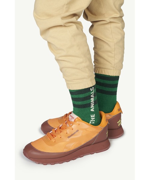 The animals observatory（ジ・アニマルズ・オブザーバトリー）の「The animals observatory / The animals observatory /  Reebok コラボスニーカー＜17-24cm＞（スニーカー・キッズ・ブルー/ブラウン/イエロー・18/24/22/21/20/19/23/17）」の2枚目の写真