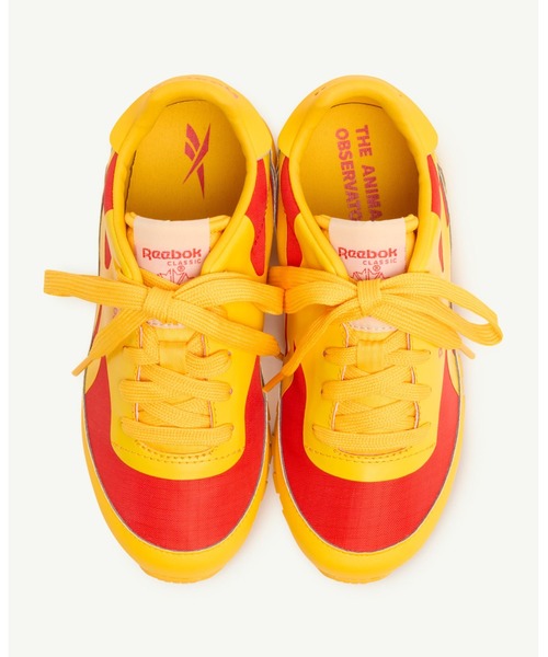 The animals observatory（ジ・アニマルズ・オブザーバトリー）の「The animals observatory / The animals observatory /  Reebok コラボスニーカー＜17-24cm＞（スニーカー・キッズ・ブルー/ブラウン/イエロー・18/24/22/21/20/19/23/17）」の16枚目の写真