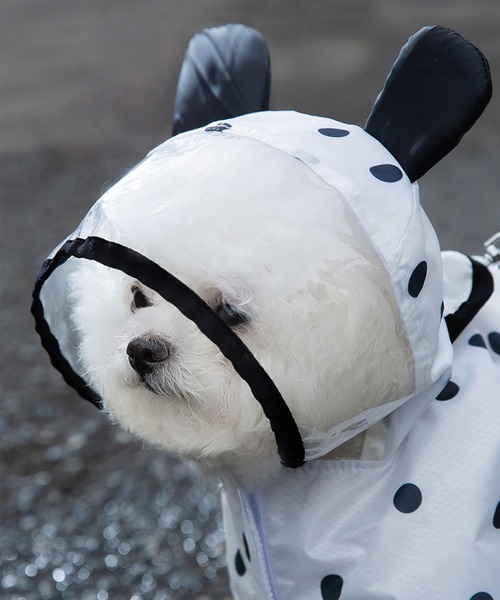 aimoha（アイモハ）の「可愛い　耳付き　ペット用レインコート（ペットウェア・レディース・ホワイト・X-SMALL/MEDIUM/SMALL/LARGE/X-LARGE）」の8枚目の写真