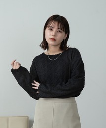 Amiur | nuance sheer v neck tops / ニュアンスシアーvネックトップス(Tシャツ/カットソー)