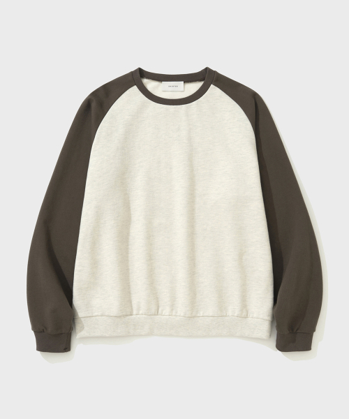 SHIRTER(シャーター)の「BRUSHED REGLAN SWEATSHIRT (BROWN)(スウェット・メンズ・その他・SMALL/MEDIUM/LARGE)」の1枚目の写真