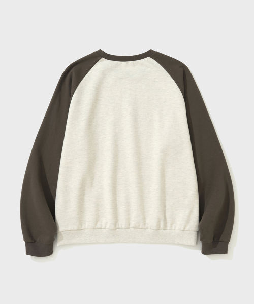 SHIRTER(シャーター)の「BRUSHED REGLAN SWEATSHIRT (BROWN)(スウェット・メンズ・その他・SMALL/MEDIUM/LARGE)」の2枚目の写真