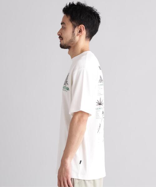 MANASTASH(マナスタッシュ)の「MANASTASH/マナスタッシュ HEMP TEE TGP(Tシャツ/カットソー・メンズ・ブラック/ホワイト/ラベンダー・XL/M/L/S)」の16枚目の写真
