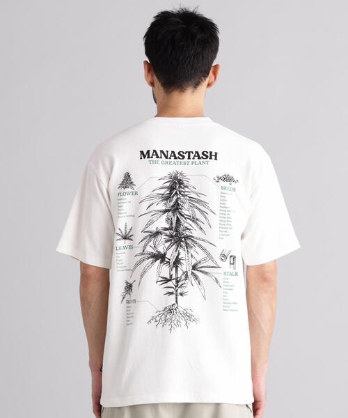 MANASTASH(マナスタッシュ)の「MANASTASH/マナスタッシュ HEMP TEE TGP(Tシャツ/カットソー・メンズ・ブラック/ホワイト/ラベンダー・XL/M/L/S)」の17枚目の写真