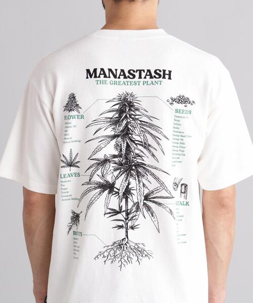 MANASTASH(マナスタッシュ)の「MANASTASH/マナスタッシュ HEMP TEE TGP(Tシャツ/カットソー・メンズ・ブラック/ホワイト/ラベンダー・XL/M/L/S)」の21枚目の写真