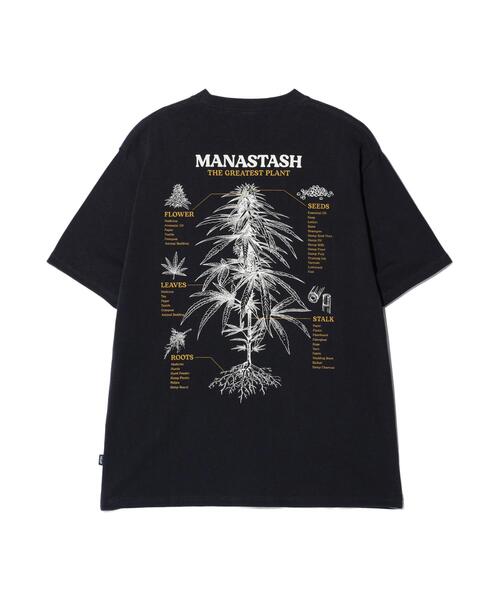 MANASTASH(マナスタッシュ)の「MANASTASH/マナスタッシュ HEMP TEE TGP(Tシャツ/カットソー・メンズ・ブラック/ホワイト/ラベンダー・XL/M/L/S)」の7枚目の写真
