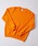 United AthleiiCebhAXj́uyUnited Athlezpremium cotton crew neck sweat unisex /  v~A Rbg N[lbN nXEFbg pC jZbNX 10IX 5044iXEFbgjvbIW