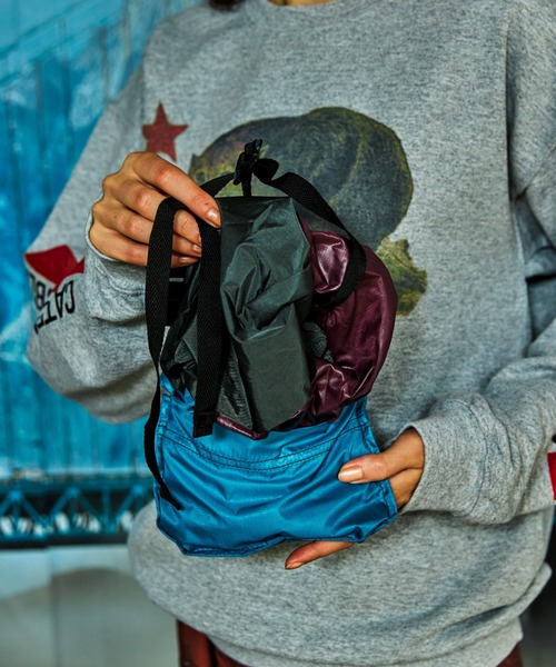 AlexanderLeeChang（アレキサンダーリーチャン）の「AlexanderLeeChang/アレキサンダーリーチャン 5050 POCKETABLE DAYPAC AC052139（バックパック/リュック・メンズ・ネイビー/グレー/ブルー・FREE）」の22枚目の写真