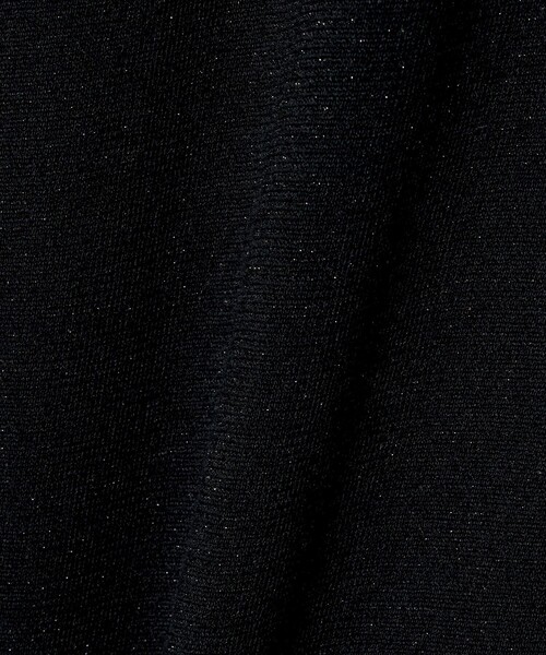 UNITED ARROWS(ユナイテッドアローズ)の「ラメ テンジク Tシャツ(Tシャツ/カットソー・レディース・ゴールド/ダークグレー/シルバー/ライトブルー/ブラック・FREE)」の11枚目の写真