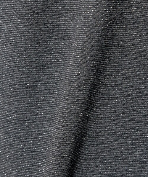 UNITED ARROWS(ユナイテッドアローズ)の「ラメ テンジク Tシャツ(Tシャツ/カットソー・レディース・ゴールド/ダークグレー/シルバー/ライトブルー/ブラック・FREE)」の8枚目の写真