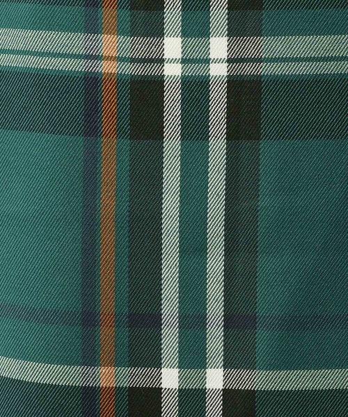 Heather(ヘザー)の「チェック柄マーメイドスカート3 259632(スカート・レディース・ベージュ系その他/グリーン系その他/ブルー系その他/グリーン系その他2・S/M)」の17枚目の写真