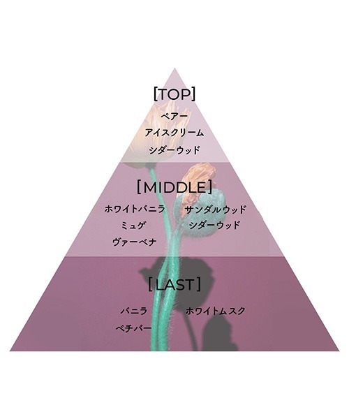 Aiam（アイアム）の「フレグランスチャプター70 50mL（香水・レディース・その他・FREE）」の3枚目の写真