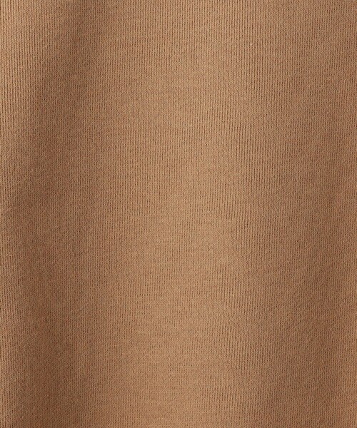 Champion(チャンピオン)の「【WEB限定】<Champion>CVC F T プルオーバー スウェット(スウェット・レディース・ブラック/ブラウン/グレー/ナチュラル・M)」の21枚目の写真