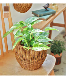 UNBILLION（アンビリオン）の「クレエ Creer / ポット L（インテリア雑貨）」