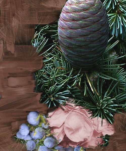 スーパー シダー オードパルファン 100ml（香水）｜BYREDO（バイレード