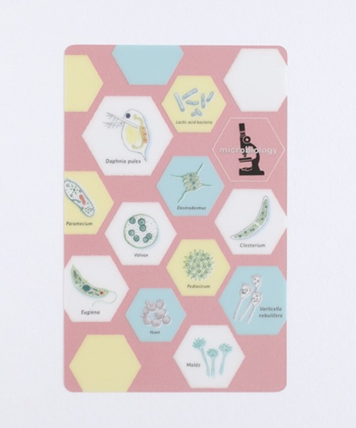 GLOBAL FORME CONCRETE（グローバルフォルムコンクリート）の「【STUDY HOLIC】 クリアブックマーク　しおり（ステーショナリー・レディース・その他4/その他6/その他1/その他2/その他3/その他5/その他8/その他7・FREE）」の5枚目の写真