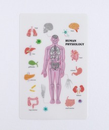 GLOBAL FORME CONCRETE（グローバルフォルムコンクリート）の「【STUDY HOLIC】 クリアブックマーク　しおり（ステーショナリー）」