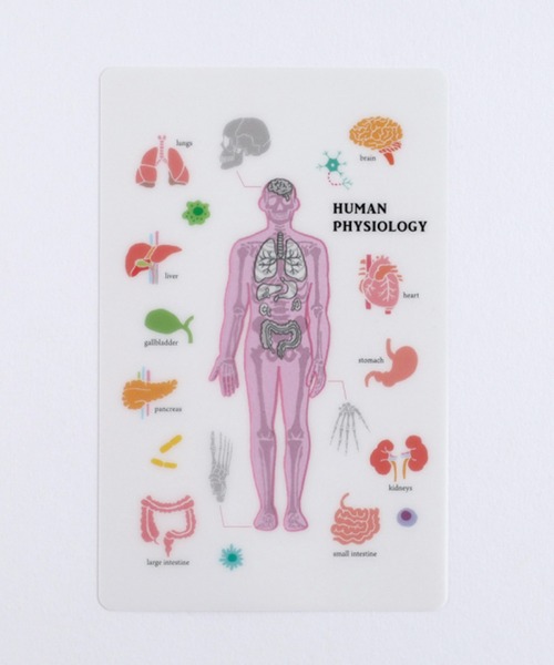 GLOBAL FORME CONCRETE（グローバルフォルムコンクリート）の「【STUDY HOLIC】 クリアブックマーク　しおり（ステーショナリー・レディース・その他4/その他6/その他1/その他2/その他3/その他5/その他8/その他7・FREE）」の8枚目の写真