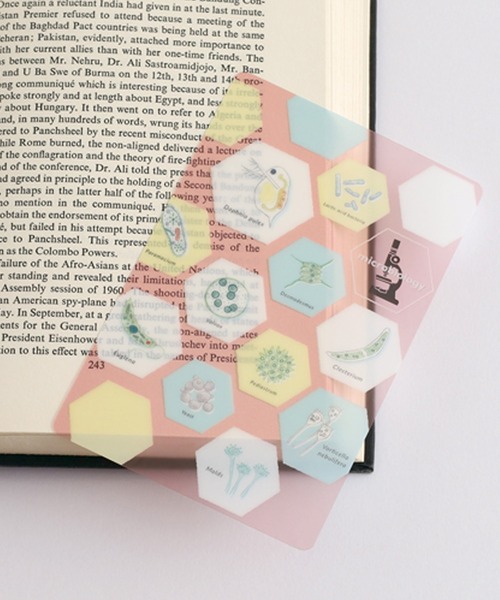 GLOBAL FORME CONCRETE（グローバルフォルムコンクリート）の「【STUDY HOLIC】 クリアブックマーク　しおり（ステーショナリー・レディース・その他4/その他6/その他1/その他2/その他3/その他5/その他8/その他7・FREE）」の22枚目の写真