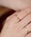ear PAPILLONNERiCApslj́usAM[Ή/XeXtJ[WRjAOiOjvb{h[