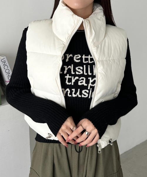 CLEA（クレア）の「スタンドカラーコンパクトショート丈中綿ベスト（ダウンベスト・レディース・ベージュ/ブラウン/ブラック/アイボリー・FREE）」の2枚目の写真