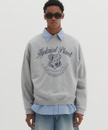 DNSR（ディーエヌエスアール）の「エンブレムスウェットシャツグレー（スウェット）」